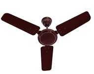 Broan Ace Ceiling Fans