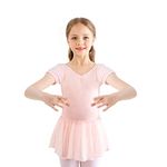 Bezioner Girls Ballet Dress Kids Gymnastics Dance Leotard Costume Dancewear With Skirt Pink 110