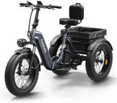 Electric Trike for Adult with 750W 