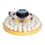 Brinsea Maxi 48 EX 48 Egg Incubator - British Made, Premium Quality, Fully Automatic Turning & Integral Automatic Humidity Control Incubator - Includes Digital Alarms & Egg Cooling. 3 Year Guarantee.