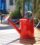 Joequality Watering Can for Outdoor&Indoor Plants，1 Gallon Galvanized Steel Watering Can with Stainless Steel Handles，Metal Garden Watering Pot Gardening Gifts for Women，Red