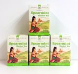 Palanquin Spearmint Tea (4 Boxes)