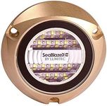 SeaBlaze X2 Underwater Light, Bronz