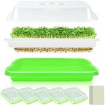 5 Pack Seed Sprouter Tray with Cove