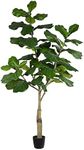 Vickerman 6ft Artificial Potted Fid