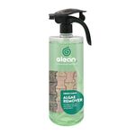 GLEAN Green Clean Algae Remover | Patio Cleaner | ALGAE, LICHEN, MOULD & MOSS REMOVER | Wet It - Forget It - Won't Regret It | Spray And Leave | Coverage: 10m² | 1 Litre