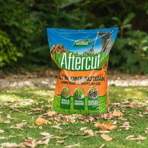 Westland Autumn Lawn Feed and Moss Killer – Covers 350m²
