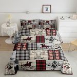 Erosebridal Boys Western Queen Comforter Set Cowboy Bedding Sets Country Farmhouse Plaid Horse Cow Print Bed Set for Kids Teen Girls American Wild West Quilt Duvet Red Black Grey Cowboy Room Decor