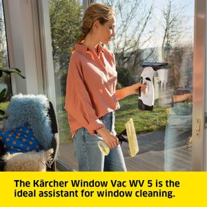 Kärcher Window Vac WV 5 Plus – Cordless Glass Cleaner