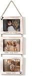 OKSQW Dogs Wall Picture Frame 5x7 C