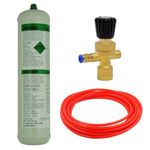 Argon CO2 Disposable Gas Mix Bottle KIT MIG TIG Welding w/Mini Regulator + Hose (Argon 100%)