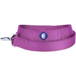 Blueberry Pet Durable Classic Solid Color Dog Lead 120 cm x 2.5cm in Violet, Large, Basic Nylon Leads for Dogs, Matching Collar & Harness Available Separately