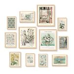 Bzstyleart 12Pcs Sage Green Wall Art Decor, Matisse Wall Art Prints, Eclectic Posters for Room Aesthetic, Wall Collage Kit Pictures for Living Room, Vintage Boho Gallery Decor (Green Eclectic