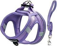 petopet Dog Harness and Leash Set, Small Breed Pet Vest Harness with Soft Paded Air Mesh Adjustable Buckles Metal Ring No Pull for Small Medium Dogs Puppy, Purple, XXS