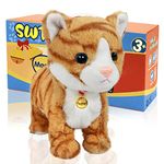 SWTOIPIG Interactive Plush Cat Toys for Kids, Reliable Robotic Electronic Cats Sound and Touch Control, Realistic Soft Plush Toy Cat That Walks and Meow Box, Kitty Toys Gift Yellow