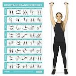Vive Resistance Band Workout Poster
