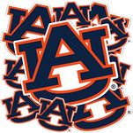 Desert Cactus Auburn University Stickers Tigers War Eagle Vinyl Decals Laptop Water Bottle Car Scrapbook 12.2x9.69 Sheet T3 (Type 3-1)