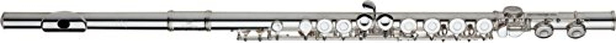 Gemeinhardt 2SP Flute with Straight Headjoint