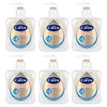 Carex Advanced Care Moisturising Antibacterial Hand Wash, 3x More Moisturisers, Clean & Protect Hands, Bulk Buy, Pack of 6 x 250ml (Packaging may vary)