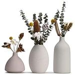 Wild & Wise Set of 3 Ceramic vase, 