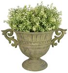 Fallen Fruits AM67 URN Round (Small), Metal, Green, S