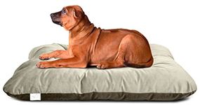 Pet's BFF Rectangular Reversible Bed for Dog & Cat Small Size, Washable Velvet, 50 x 60 Cm,Brown + Cream