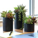 SEEKO Succulents Plants Artificial (3 Pack) - Indoor Fake Succulents with Black Pot