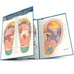 Reflexology (Quick Study Academic): Pressure Points of the Hands & Feet, Color-coded & Mapped from Multiple Views