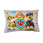 Paw Patrol Friends Cases For Boys