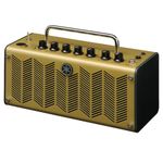 Acoustic Amps