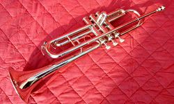 SAI Musicals,Trumpet with Mouthpiece & Hardcase,Pleasant Sound Quality & Pitch.