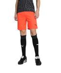 Puma Men's Bermuda Shorts (704924_Nrgy Red-Black