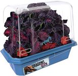 Toys by Nature Miniature Worlds Dragon's Den Flower Windowsill Terrarium Starter Kit, Complete Supplies to Grow Your Own Indoor Mythical Lair with Dragon Figurine and Lava Rock (Dragon's Den)