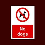 No Dogs Plastic Sign with 4 Pre-Dri