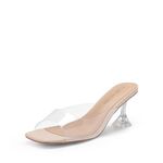 Dream Pairs Women?s Clear Heels Square Toe High Stiletto Mules Slip on Wedding Dress Heel Sandals, Nude Clear-Low, 8