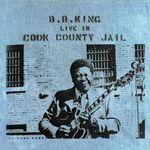 Live in Cook County [VINYL]