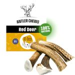 RF - Deer Set of Natural Antler Chews for Dogs | Bone Toy & Treat | Deer | Natural, Safe and Healthy Snack for your Dog | Hard | 5 pcs | XXL | 0,8-1 kg | 19-21 cm