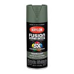 Krylon Fusion ALL-IN-ONE 2796 Matte Spanish Moss