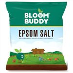 Bloombuddy Epsom Salt 1kg – Magnesium Sulfate Fertilizer for Plants, Home Garden Essential, Enhances Growth, Improves Nutrient Absorption