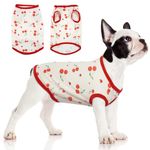 Hjumarayan Dog T Shirt Summer Dog Tshirts for Small Medium Dogs, Chihuahua Clothes Soft Dog Shirt Stretchy Dog Tshirt, Dog T Shirts for Small Medium Dogs Cat, Red Cherry S