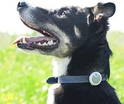 Animo - Sure Petcare Animo - Dog Behavior Monitor and Activity Tracker; (Bluetooth not a GPS Location Tracker); Free of Monthly Fees; Free App