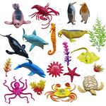 Aquatic Toys