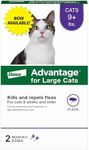 Advantage Topical Cat Flea Treatment and Prevention for Large Cats 9 lbs.+ | 2 Month Supply