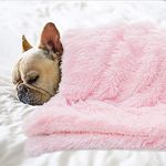 BENRON Medium Dog Blanket for Couch Bed Crate, Cozy Reversible Fleece Dog Blanket, Washable Fluffy Throw Blankets 30x40 Inches Pink