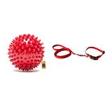 The Pets Company Natural Rubber Spiked Ball Dog Chew Toy, Puppy Teething Toy, 3 Inches & Leash and Collar Set Suitable for Puppies of All Dog Breeds, X Small, Red