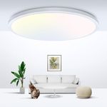 Ceiling Light Fixture For Office