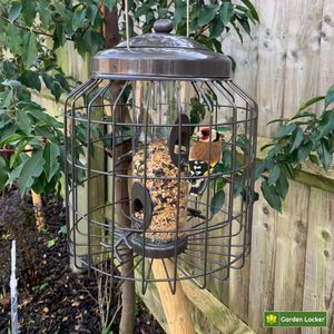 Heavy Duty Squirrel Proof Bird Feeder – Weather Resistant, Large Capacity