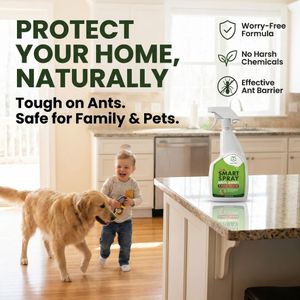 Pestmatic Smart Spray Ant Repellent, Non-Toxic Indoor & Outdoor, 500ml