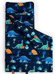 david's kids Toddler Nap Mat Set with Removable Pillow, Ultra Soft Slumber Bags for Boys, Perfect for Preschool, Daycare, Kids Sleeping Bags with Rollup Design, 50"x20", Dinosaur