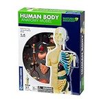 Thames & Kosmos Nature Discovery: Human Body Anatomy Model, Kids Science Kit, Learning Resources for Anatomy, 3D Anatomy Kit, Age 8+